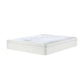 Revolution Ultra Firm Mattress